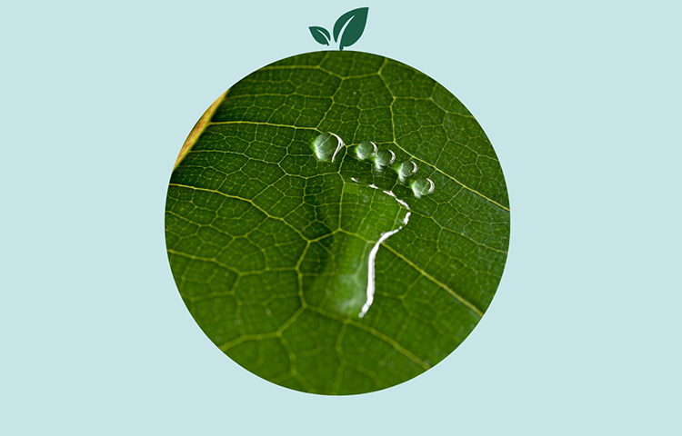 Sustainability