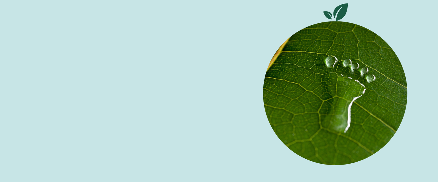 Sustainability